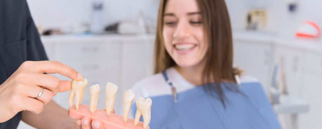 A dentitst is holding a model of a tooth in front of a woman.