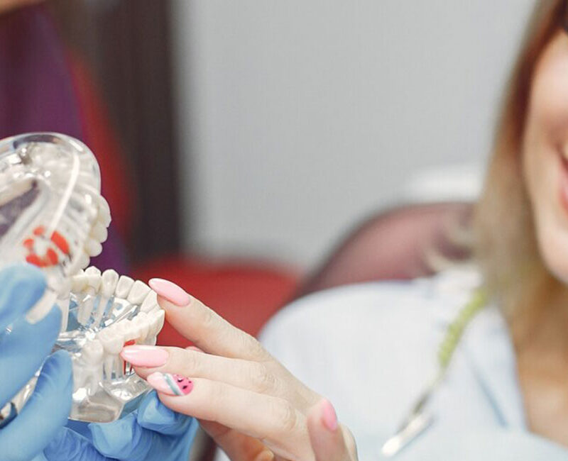 A woman is holding a dental model in her hands.